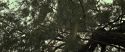 RdM2-Potterish_08814.jpg