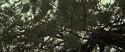 RdM2-Potterish_08815.jpg