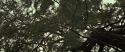 RdM2-Potterish_08816.jpg