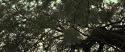 RdM2-Potterish_08817.jpg