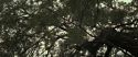 RdM2-Potterish_08818.jpg