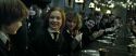 RdM2-Potterish_08867.jpg