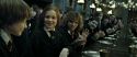 RdM2-Potterish_08868.jpg