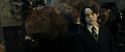 RdM2-Potterish_08877.jpg