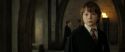 RdM2-Potterish_08888.jpg