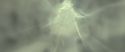 RdM2-Potterish_08918.jpg