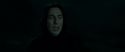 RdM2-Potterish_08949.jpg