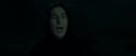 RdM2-Potterish_08951.jpg