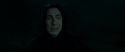 RdM2-Potterish_08952.jpg