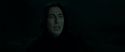 RdM2-Potterish_08954.jpg