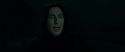 RdM2-Potterish_08955.jpg