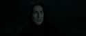 RdM2-Potterish_08957.jpg