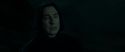 RdM2-Potterish_08965.jpg