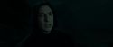 RdM2-Potterish_08966.jpg