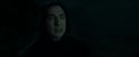 RdM2-Potterish_08969.jpg