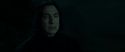 RdM2-Potterish_08970.jpg