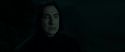 RdM2-Potterish_08971.jpg
