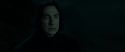 RdM2-Potterish_08972.jpg