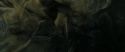 RdM2-Potterish_09016.jpg