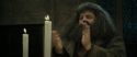 RdM2-Potterish_09103.jpg