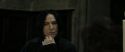 RdM2-Potterish_09112.jpg