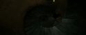 RdM2-Potterish_09120.jpg
