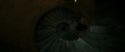 RdM2-Potterish_09121.jpg