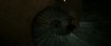 RdM2-Potterish_09122.jpg