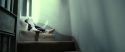 RdM2-Potterish_09128.jpg