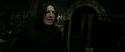 RdM2-Potterish_09134.jpg