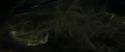 RdM2-Potterish_09140.jpg