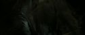 RdM2-Potterish_09142.jpg
