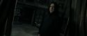 RdM2-Potterish_09202.jpg