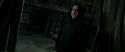 RdM2-Potterish_09203.jpg