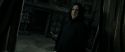 RdM2-Potterish_09215.jpg