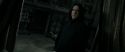 RdM2-Potterish_09217.jpg