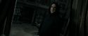 RdM2-Potterish_09218.jpg