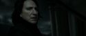 RdM2-Potterish_09237.jpg