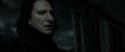 RdM2-Potterish_09238.jpg