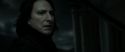 RdM2-Potterish_09239.jpg