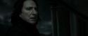 RdM2-Potterish_09240.jpg