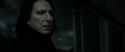 RdM2-Potterish_09241.jpg