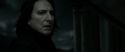 RdM2-Potterish_09242.jpg