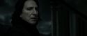 RdM2-Potterish_09243.jpg