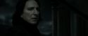RdM2-Potterish_09244.jpg