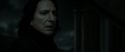 RdM2-Potterish_09245.jpg
