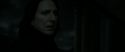 RdM2-Potterish_09246.jpg