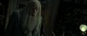 RdM2-Potterish_09255.jpg