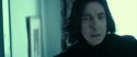 RdM2-Potterish_09268.jpg