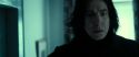 RdM2-Potterish_09272.jpg